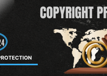 Copyright Protection 224 blog post
